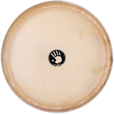 PARCHE CONGA 5D2 11 PULGADAS SKN-1100P