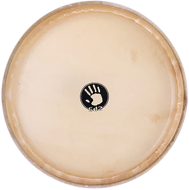 PARCHE CONGA 5D2 10 PULGADAS SKN-1000P