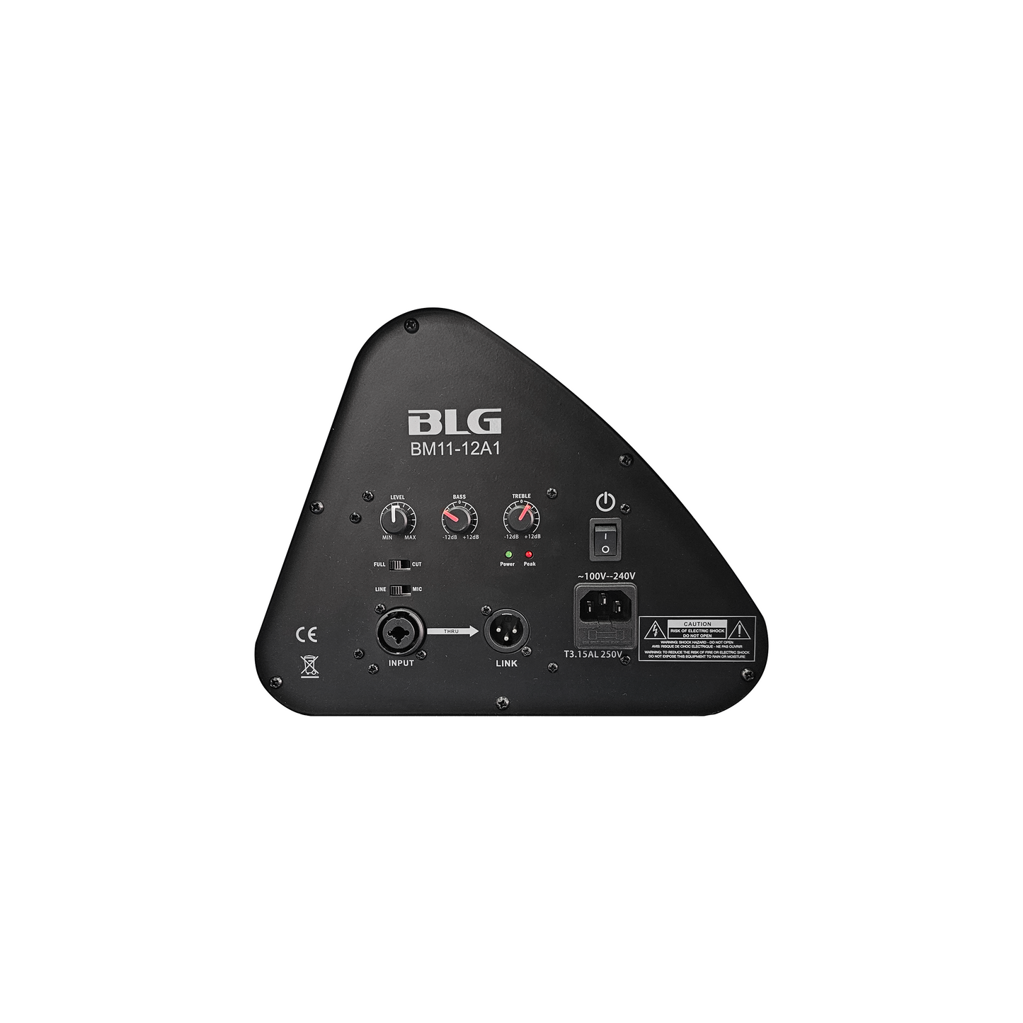 Monitor de escenario BLG 12" BM11-12A1