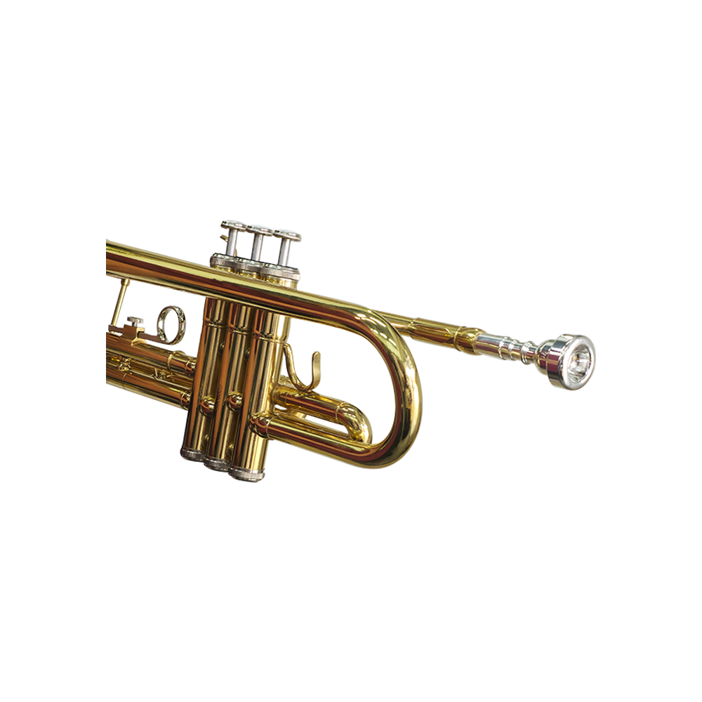 Trompeta Palmer PTP-50L