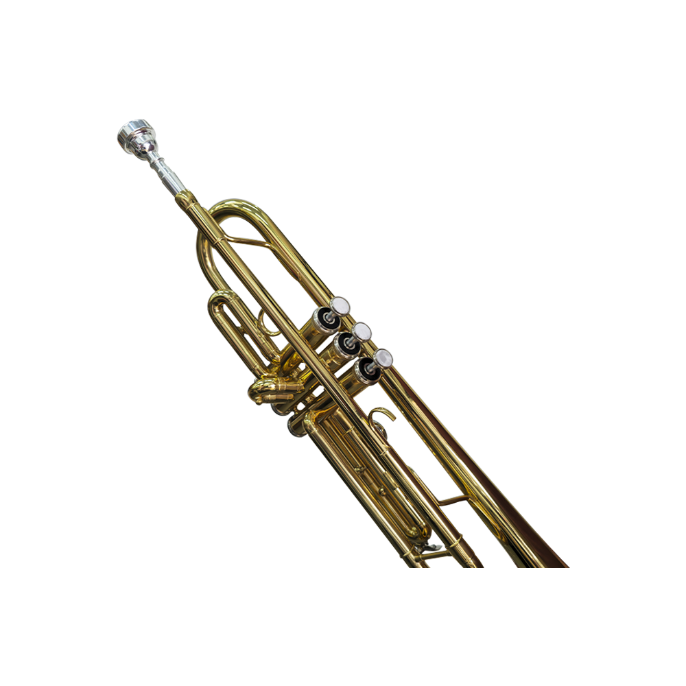 Trompeta Palmer PTP-50L