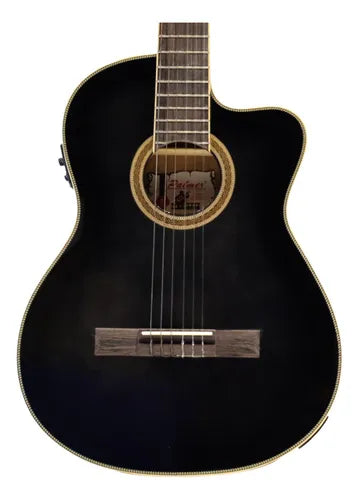 GUITARRA ELECTRO CLASICA PALMER FINA