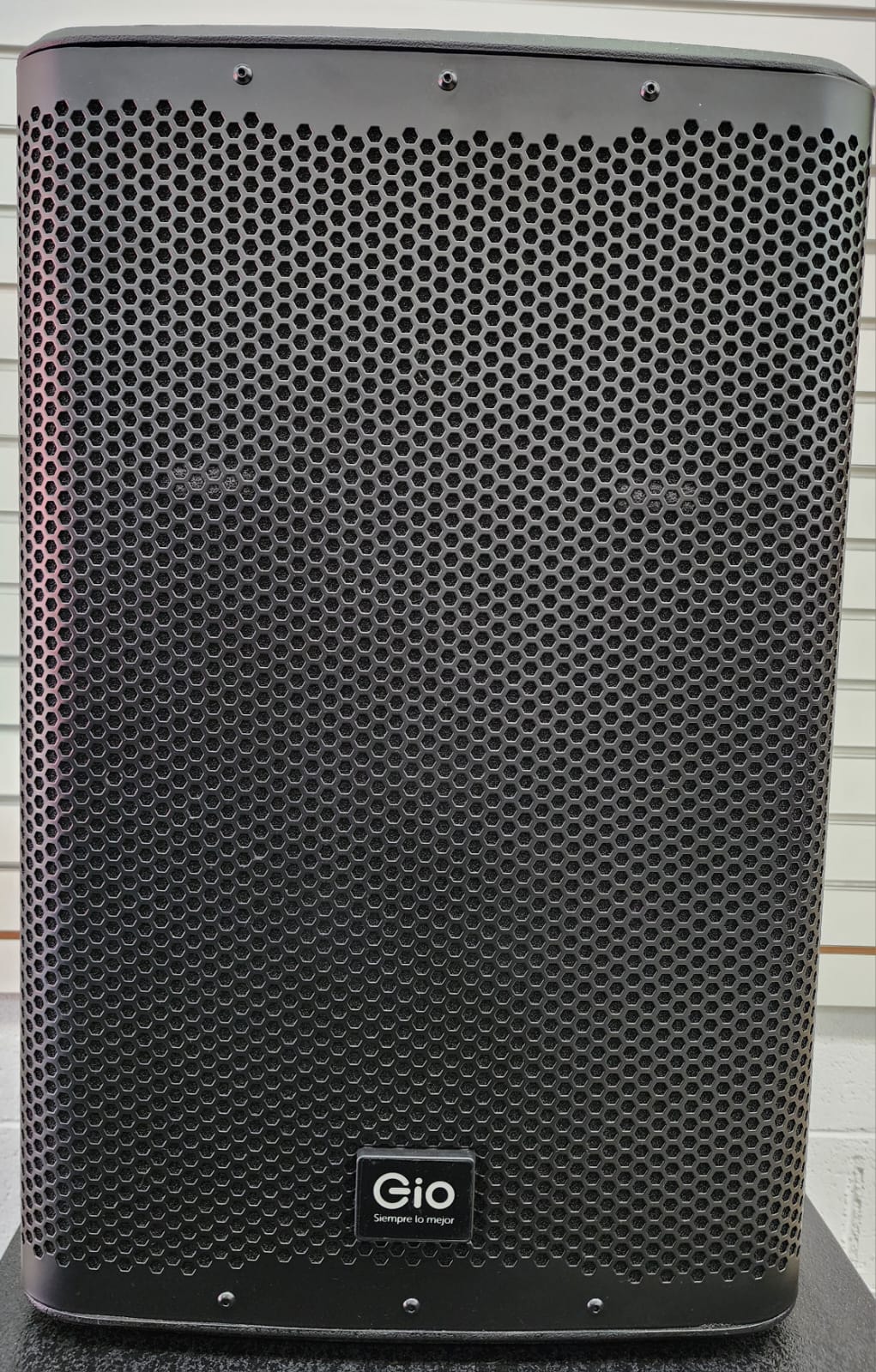 BOCINA PROFESIONAL AMPLIFICADA  GIO-152DSP