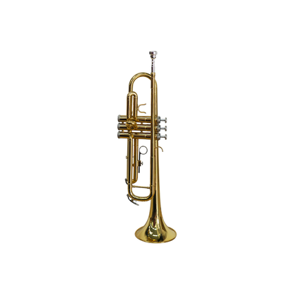 Trompeta Palmer PTP-50L