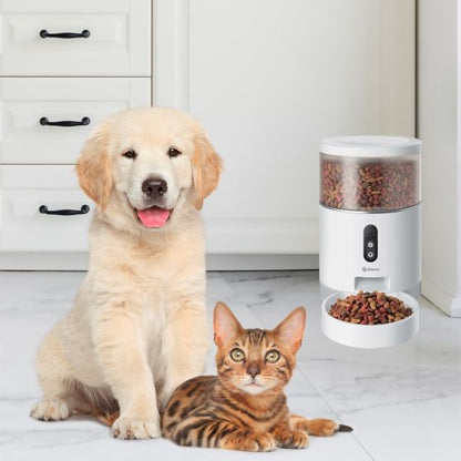 DISPENSADOR ALIMENTOS PARA MASCOTA WIFI STEREN SHOME-PET